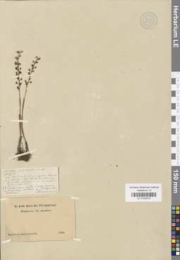 LE 01034315