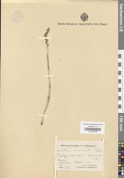 LE 01034325