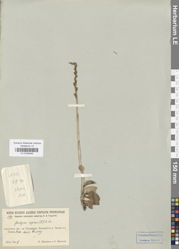 LE 01034348