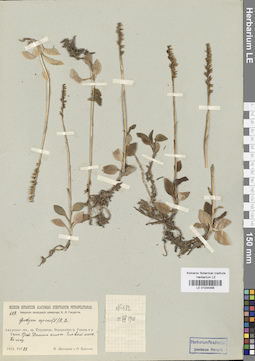 LE 01034358