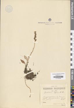 LE 01034360