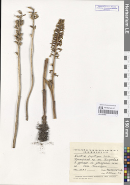 LE 01251852