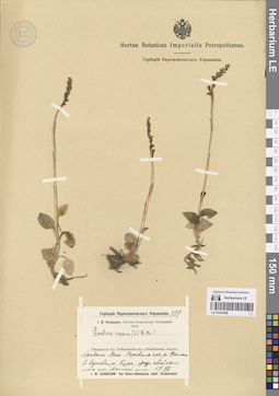 LE 01251856