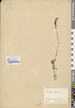 LE 01251860
