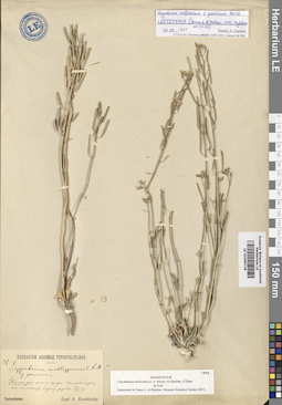LE 01009719