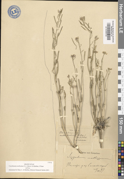 LE 01009720