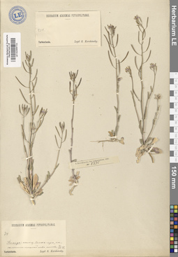 LE 01009721