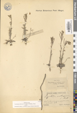 LE 01009723
