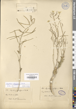 LE 01043849