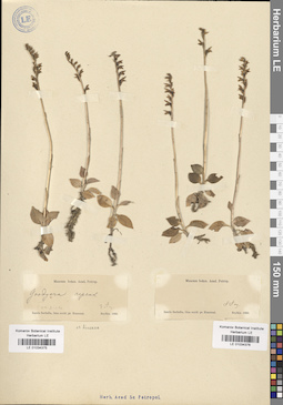 LE 01034376