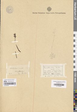 LE 01251876
