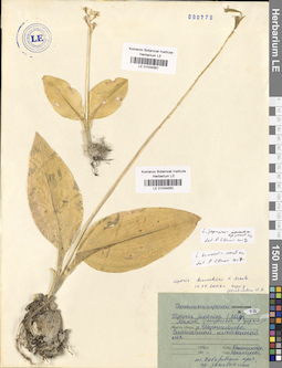 LE 01034561