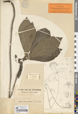 LE 01053421