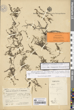 LE 01053470