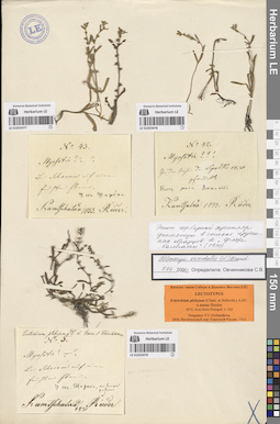 LE 01053478