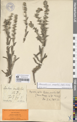 LE 01053486