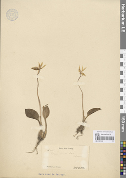 LE 01251913