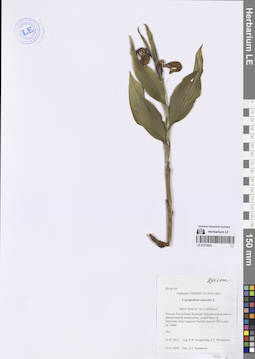 LE 01272024