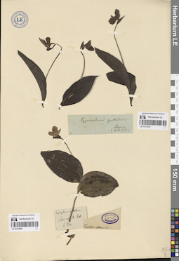LE 01272080