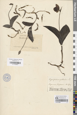 LE 01272092