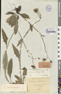 LE 01083077