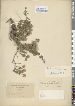 LE 01205446