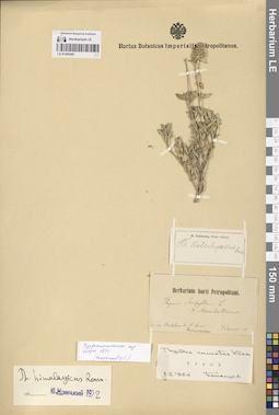 LE 01205450