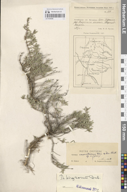 LE 01205458
