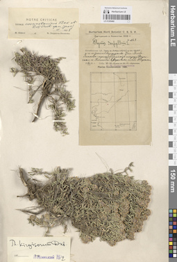 LE 01205460