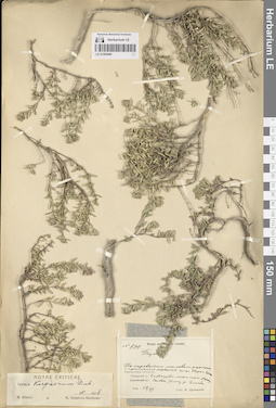LE 01205480