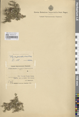 LE 01270016