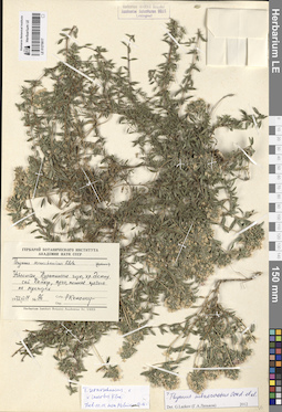 LE 01270017