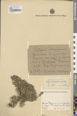 LE 01270024