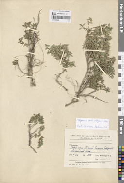 LE 01270029