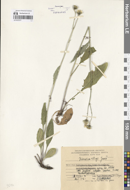 LE 01272177