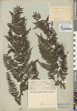 LE 01272178