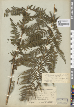 LE 01272180