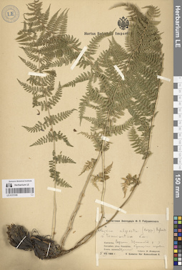 LE 01272185
