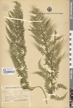 LE 01272194