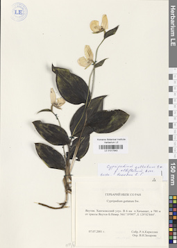 LE 01017943