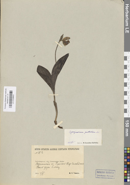 LE 01026603