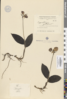 LE 01026604
