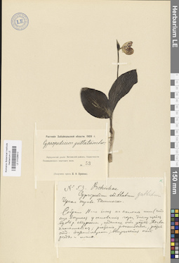 LE 01026612