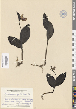 LE 01026614