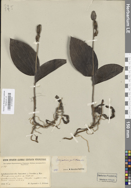 LE 01026622