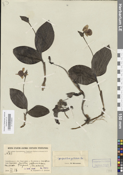 LE 01026623