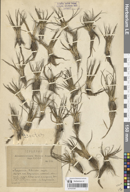 LE 01272197