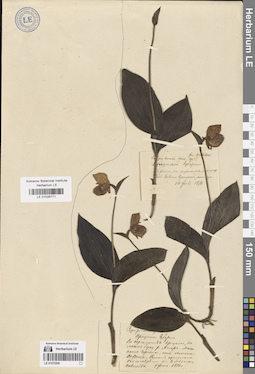 LE 01026771