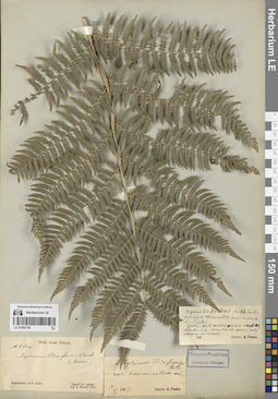 LE 01082734