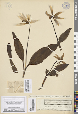 LE 01046173